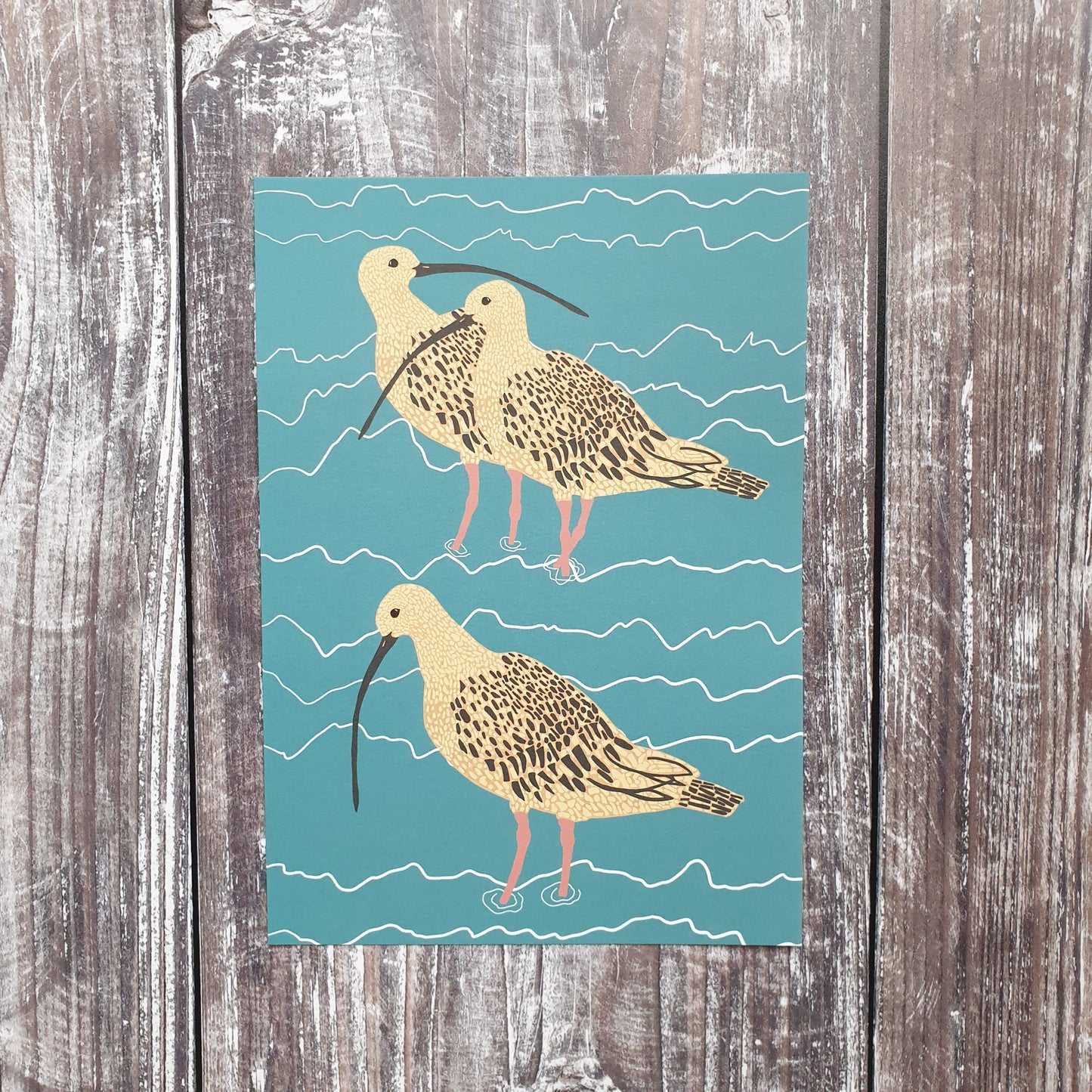 Curlew Family Art Print