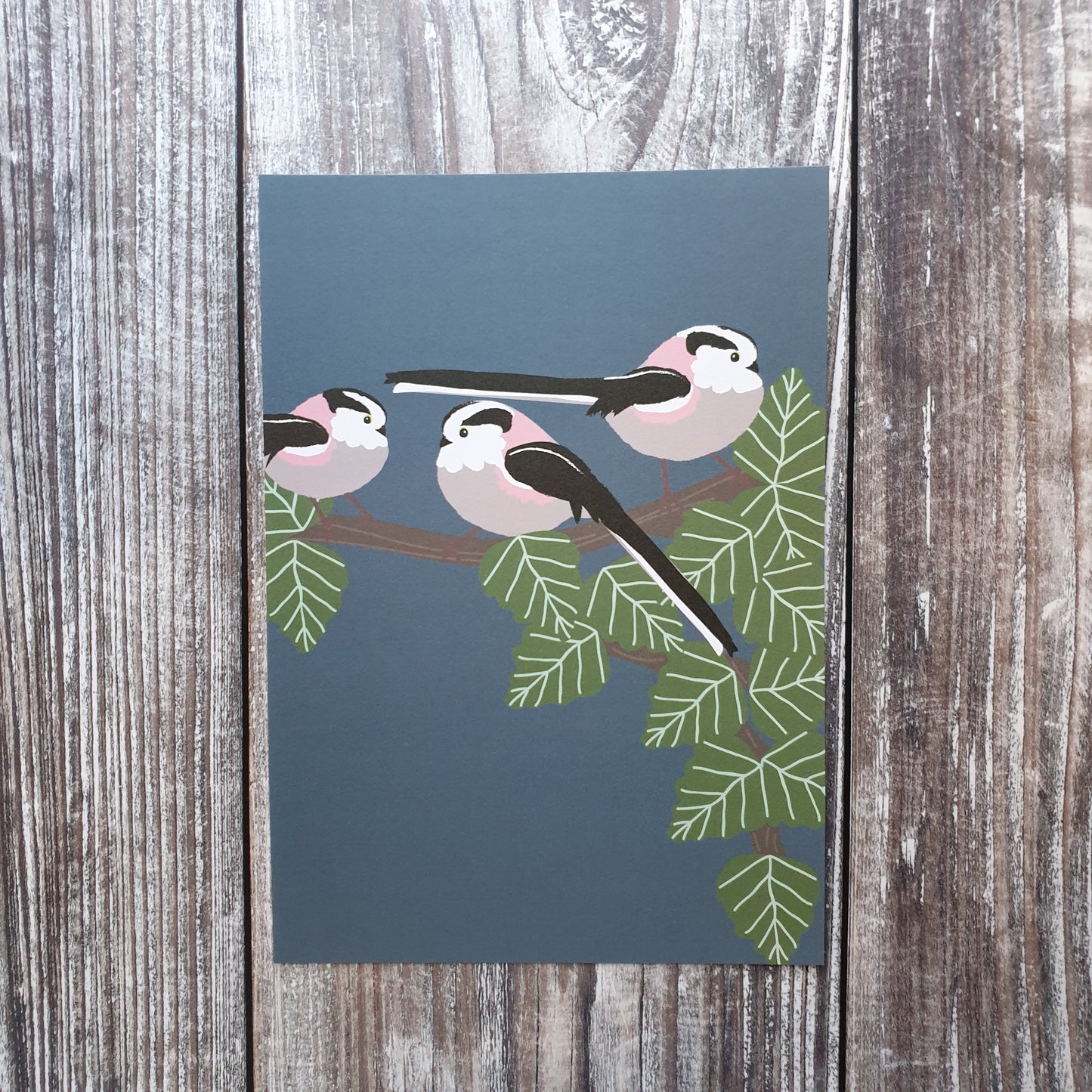 Long Tailed Tits Art Print