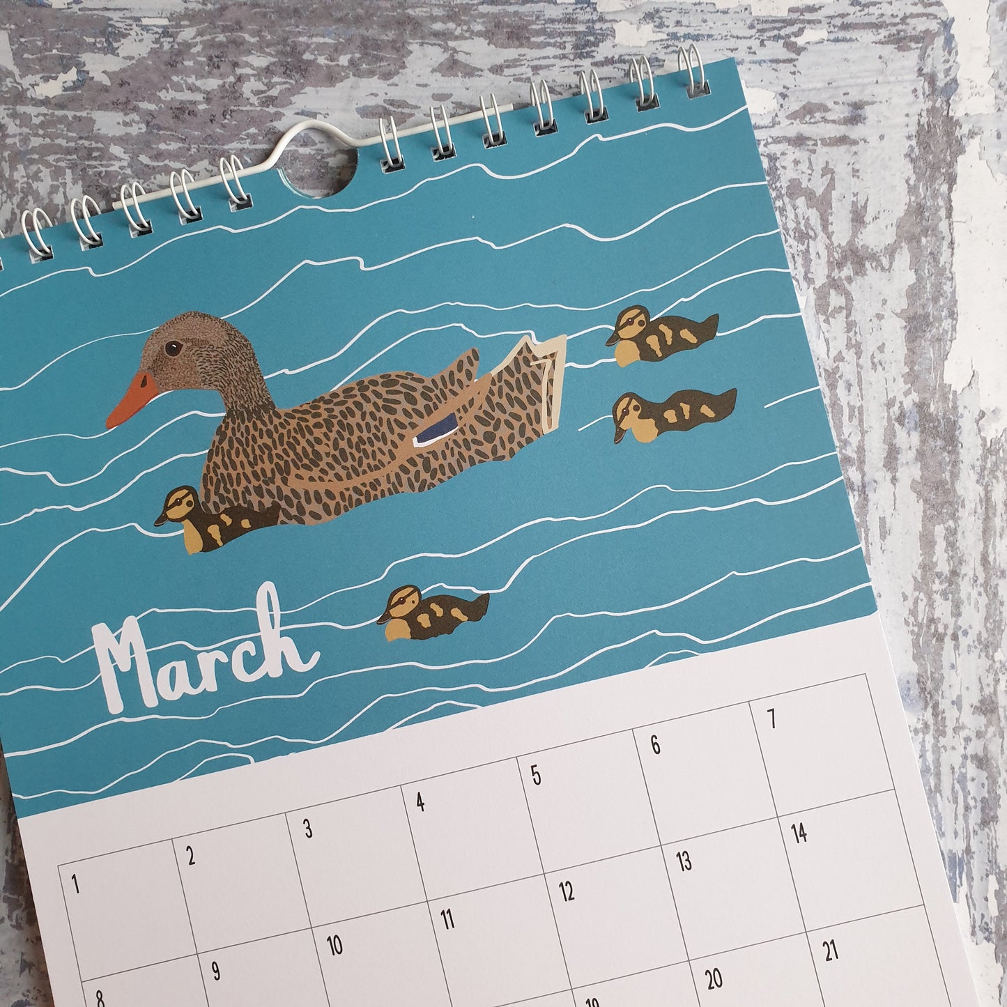 The Bird Lover's Calendar - Perpetual Calendar