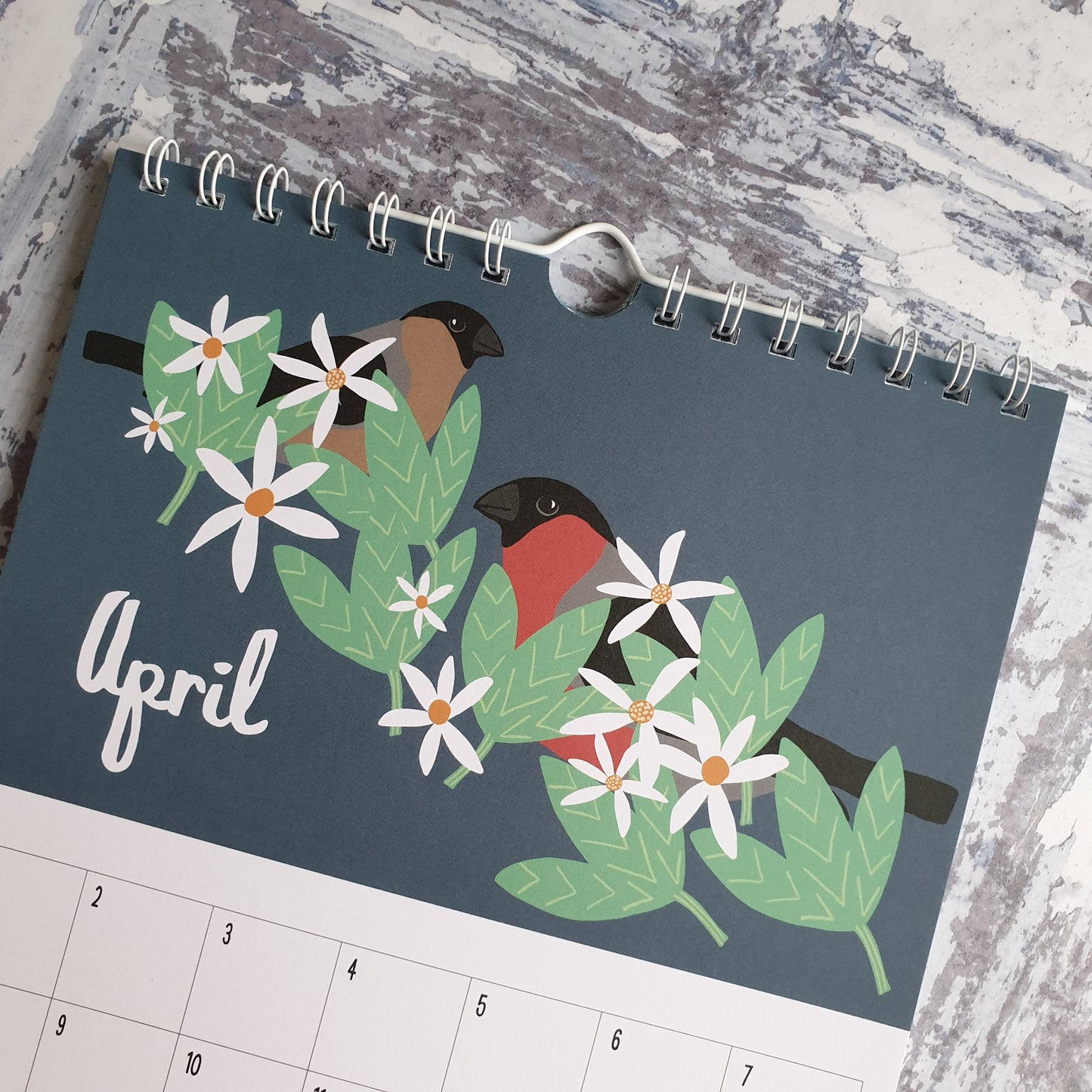 The Bird Lover's Calendar - Perpetual Calendar
