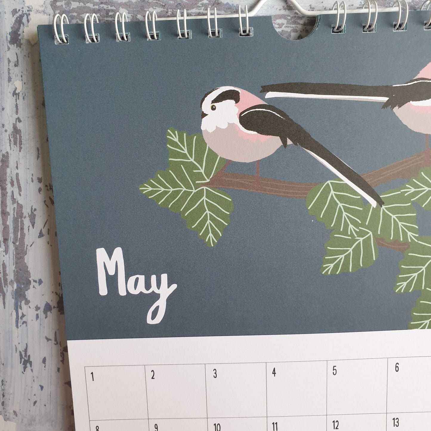 The Bird Lover's Calendar - Perpetual Calendar