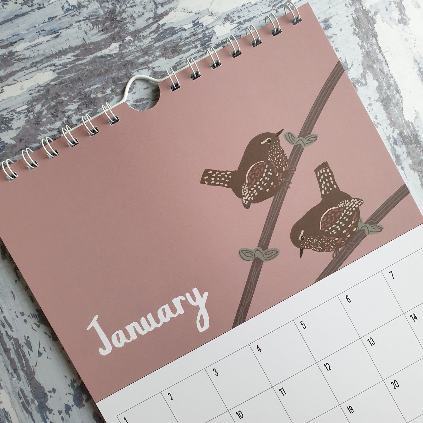 Bird Lover's Birthday Calendar