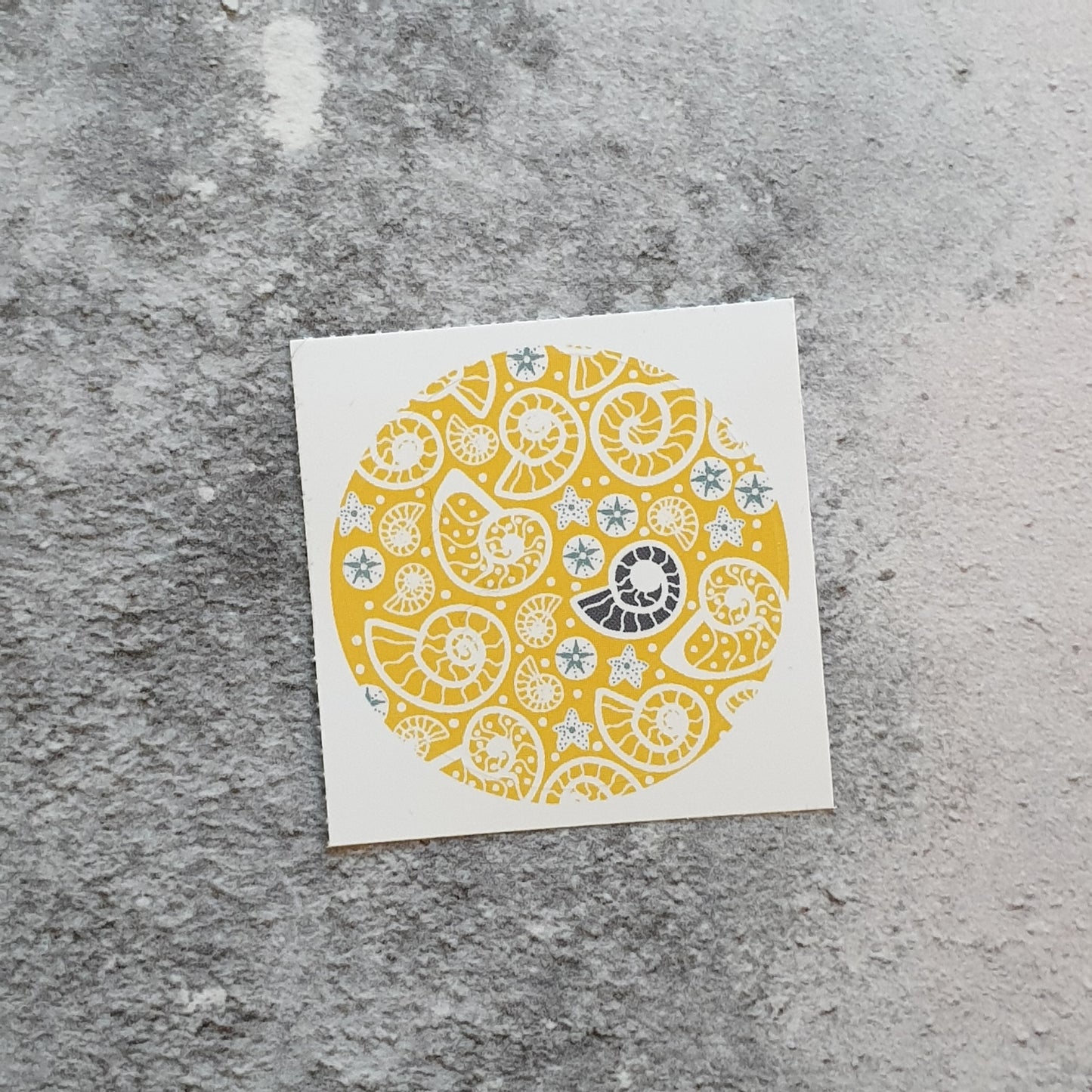 Fossil Beach 38mm Vinyl Stickers