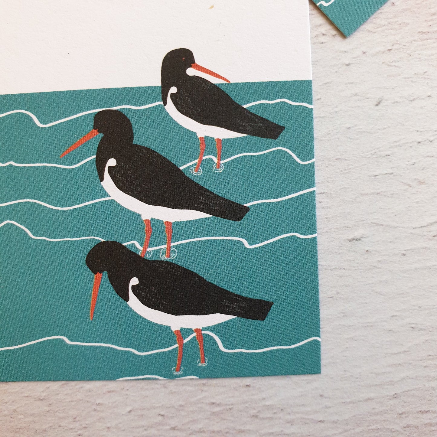 Wading Bird Gift Notes - Set of 4