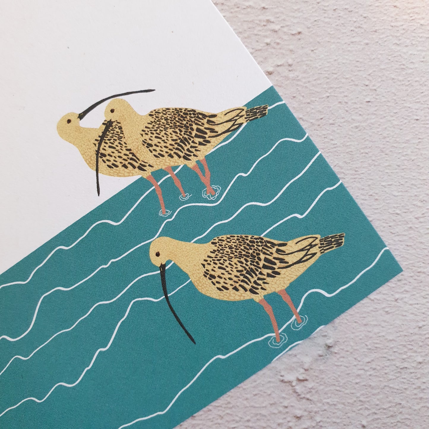 Wading Bird Gift Notes - Set of 4