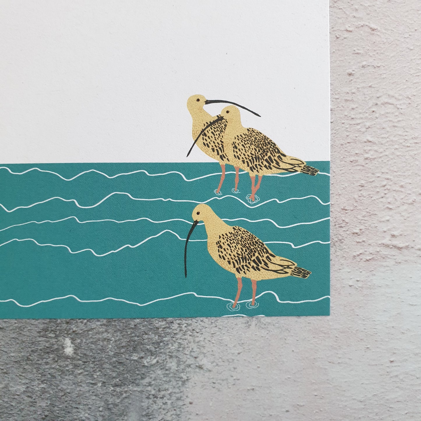 Wading Bird Gift Notes - Set of 4