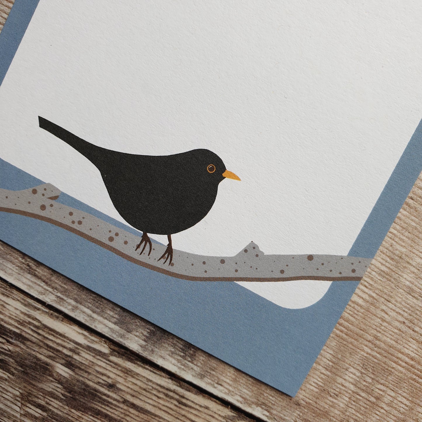 Robin and Blackbird Mini Note Writing Set