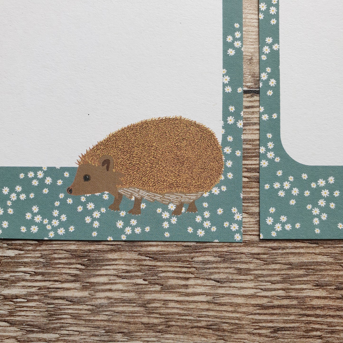 Hedgehog Gift Notes - Set of 4