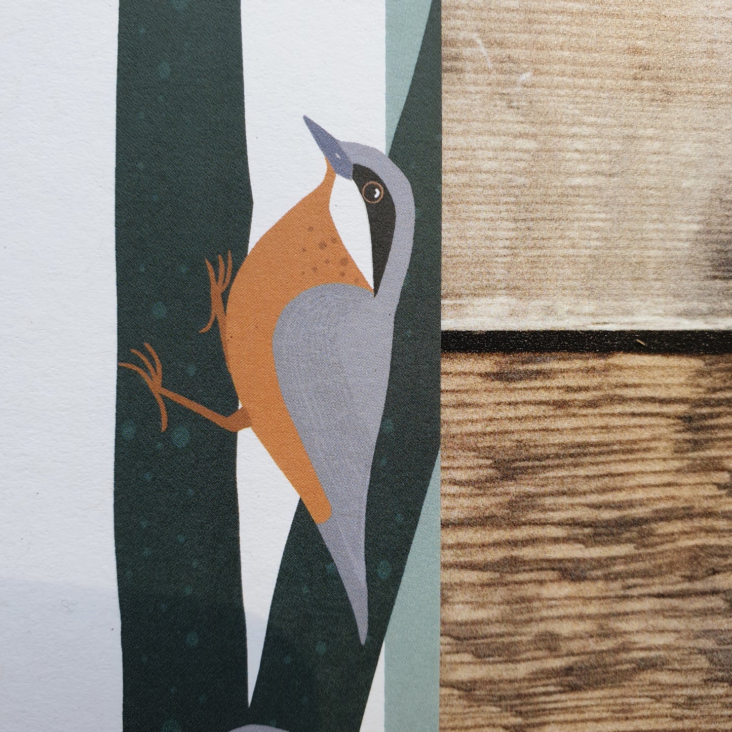 Garden Birds Mini Notes Writing Set
