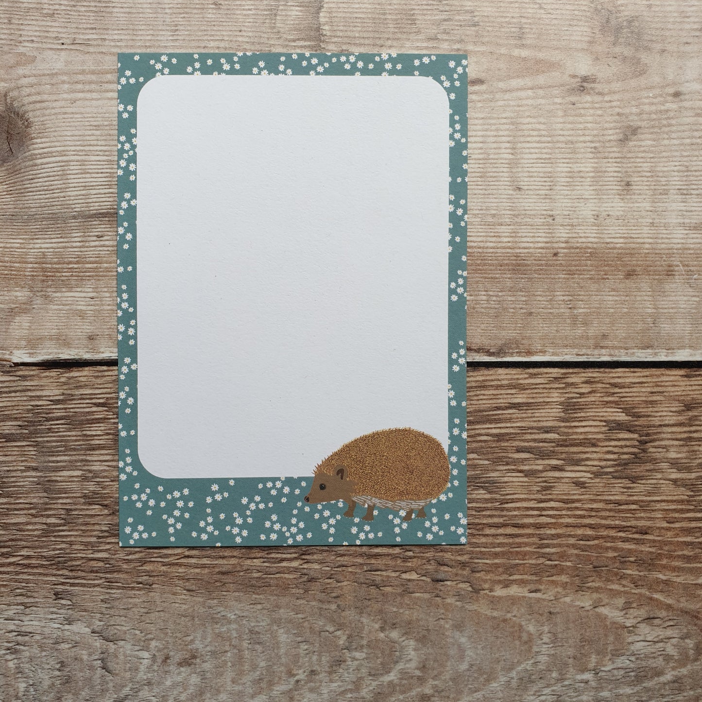 Hedgehog Gift Notes - Set of 4