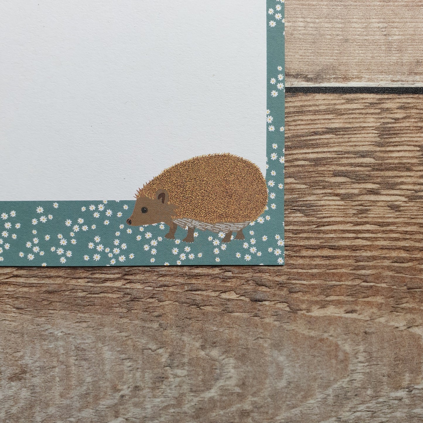 Hedgehog Gift Notes - Set of 4