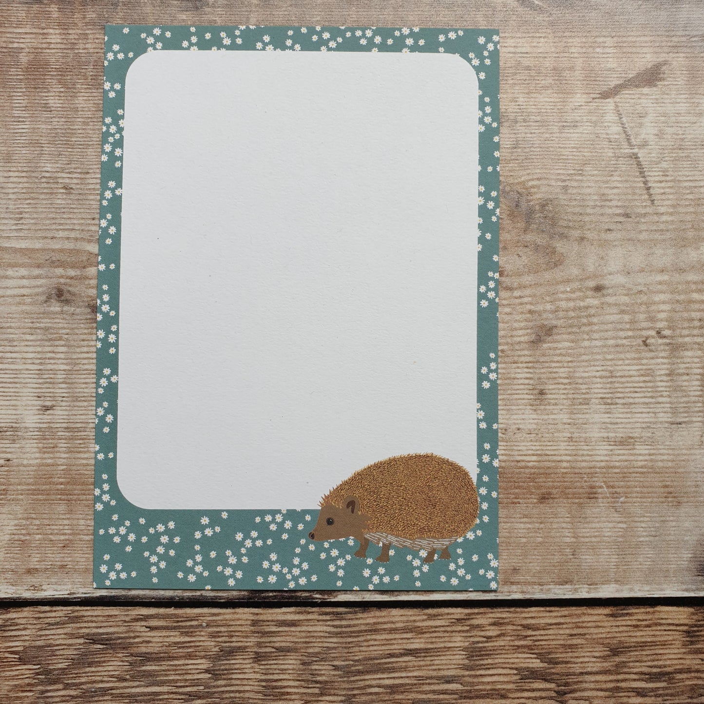 Hedgehog Gift Notes - Set of 4