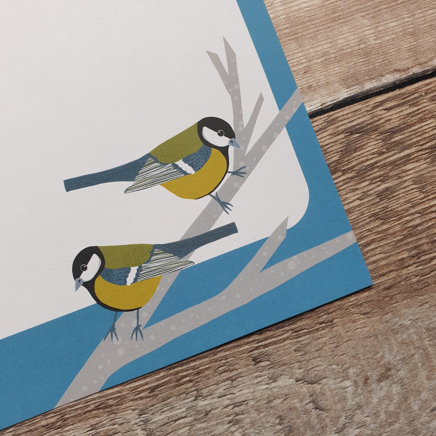 Garden Birds A5 Writing Paper Set