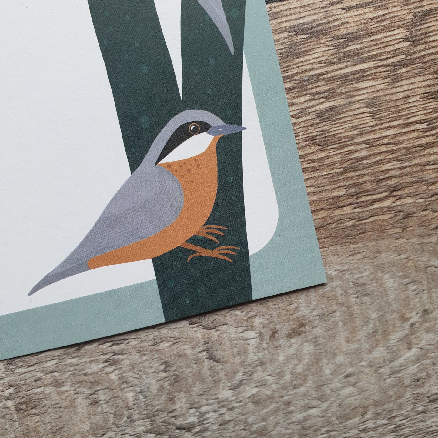 Garden Birds A5 Writing Paper Set