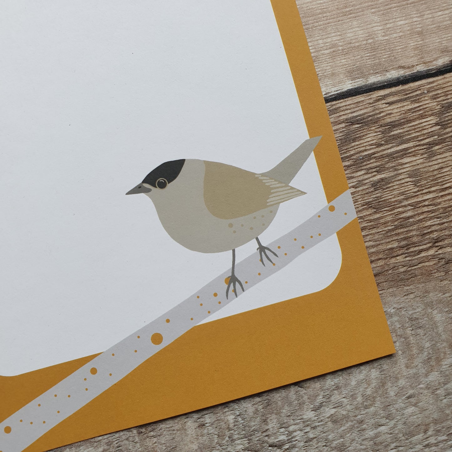 Garden Birds A5 Writing Paper Set