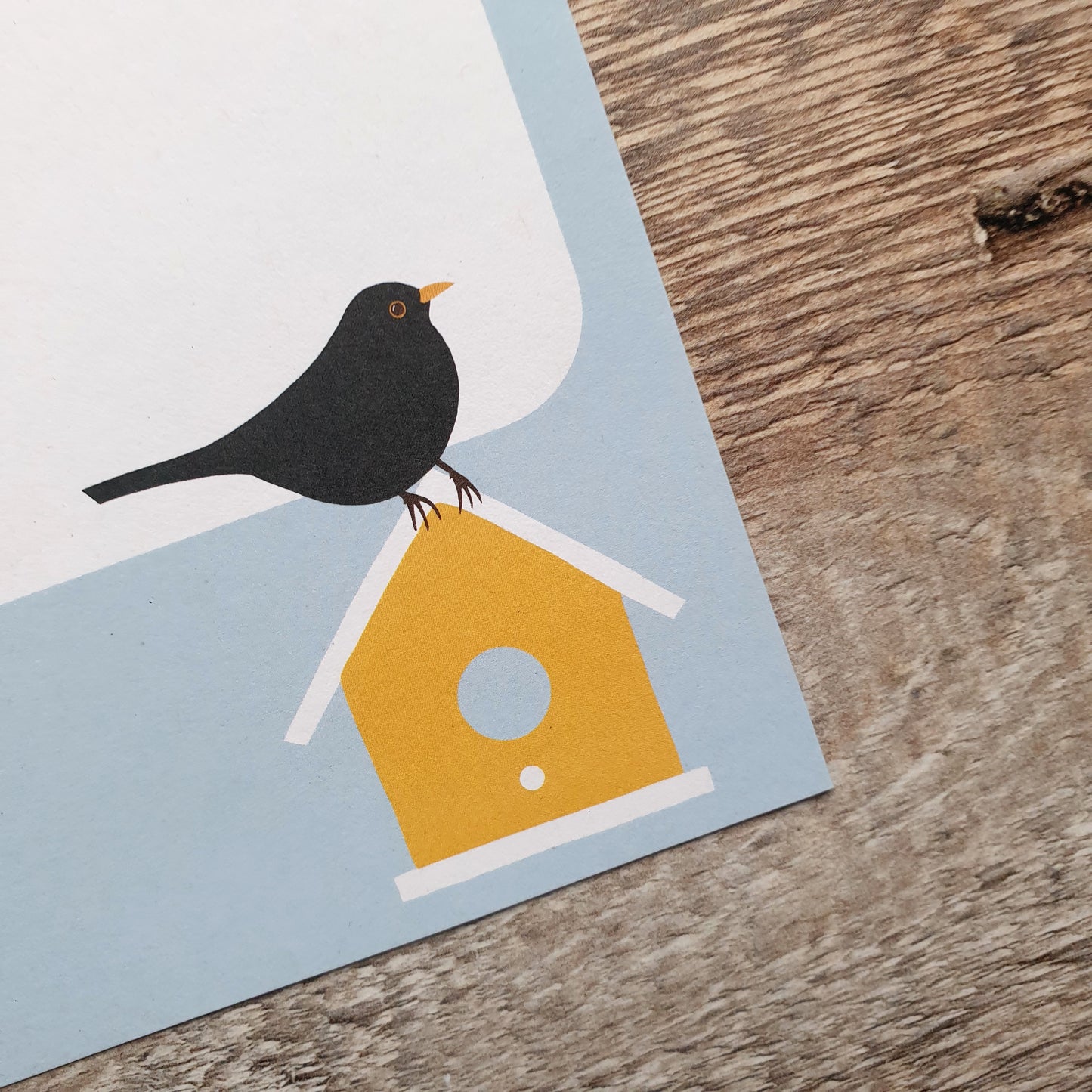 Birdboxes A5 Writing Paper Set