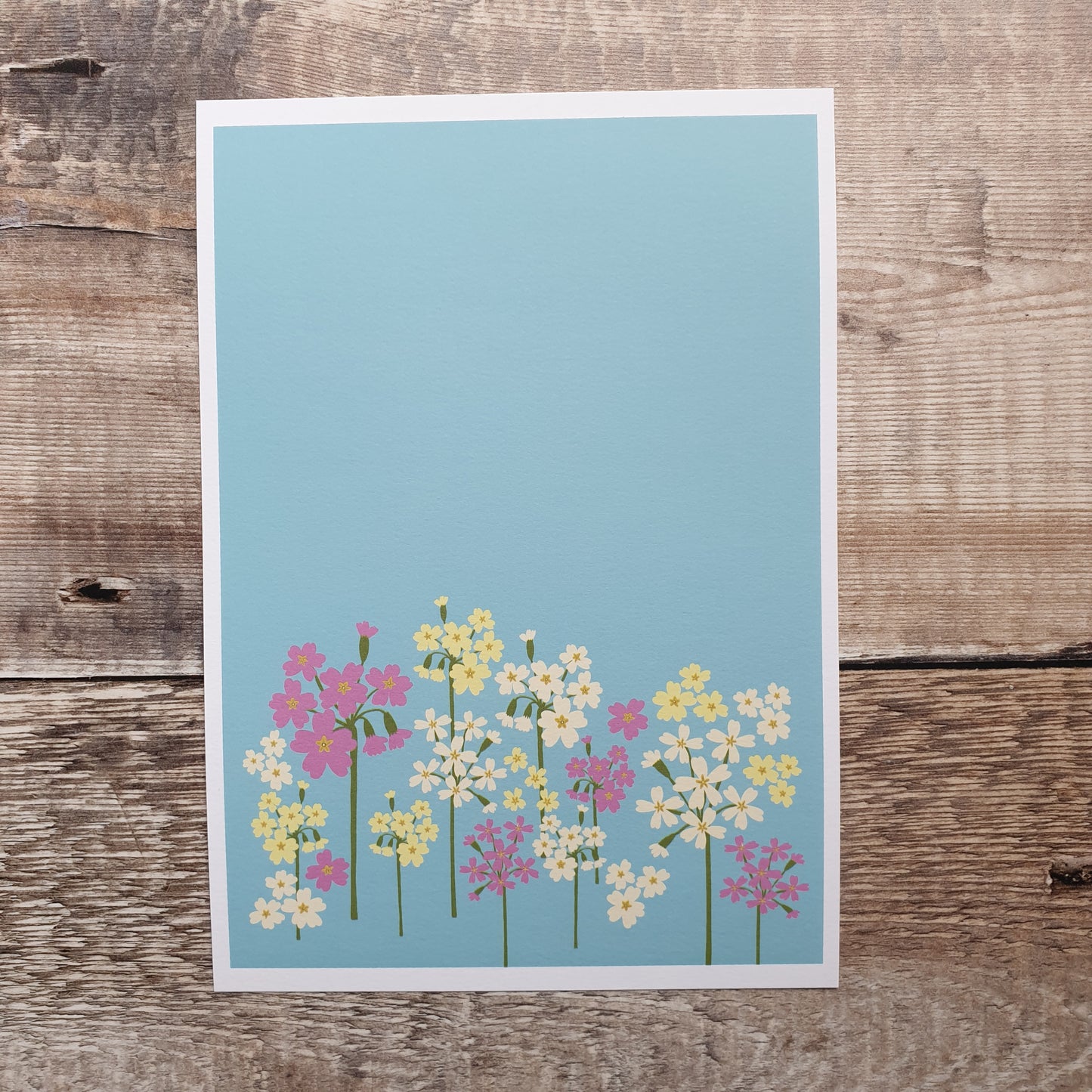 Primroses and Cowslips Art Print