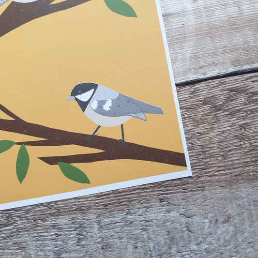 Coal Tits Art Print