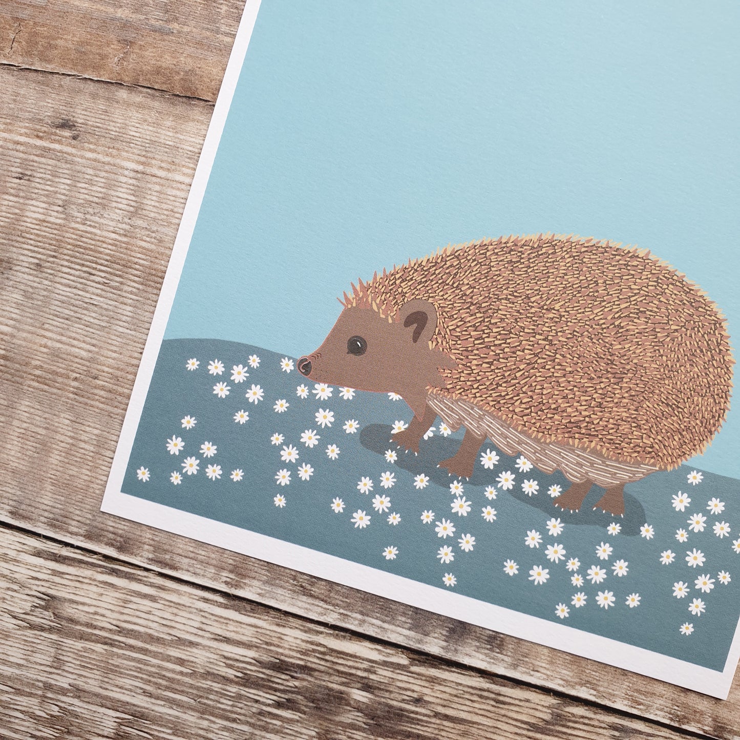 Hedgehog Art Print