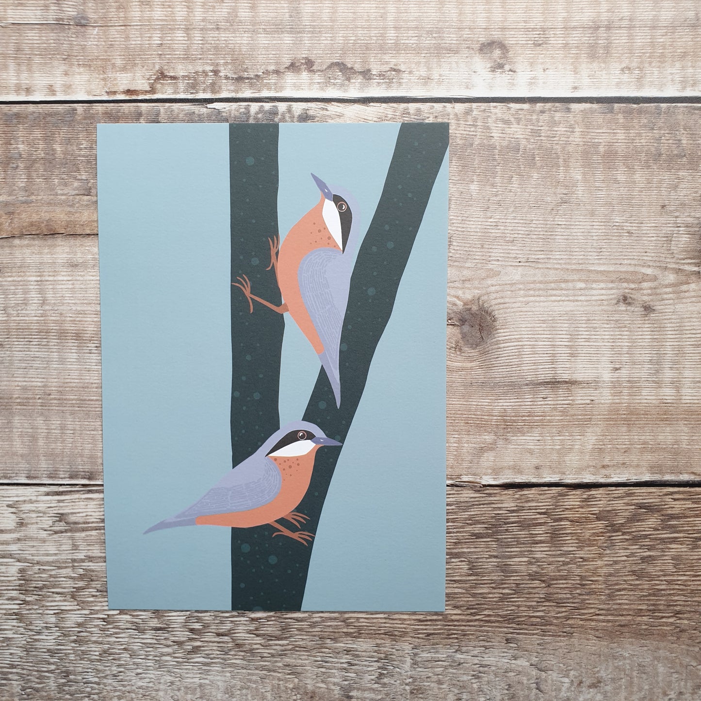 Nuthatches Art Print