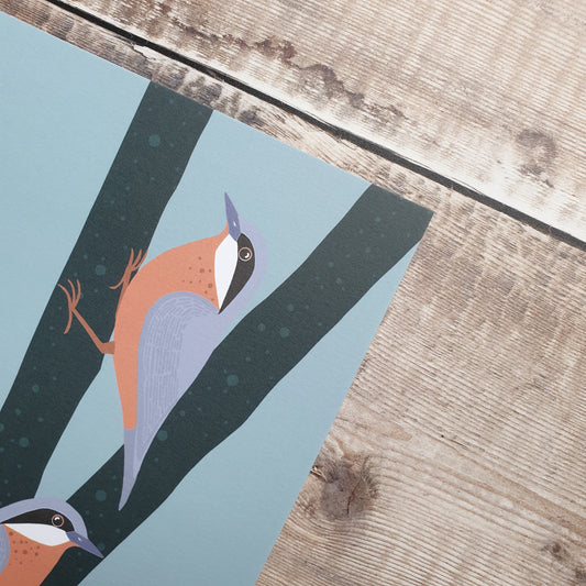 Nuthatches Art Print