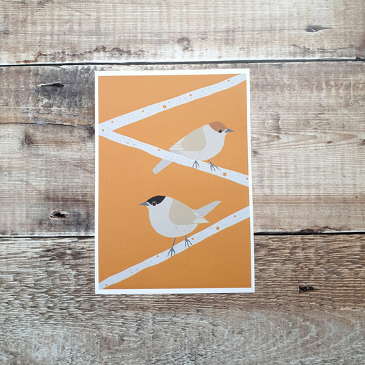 Blackcap Bird Art Print