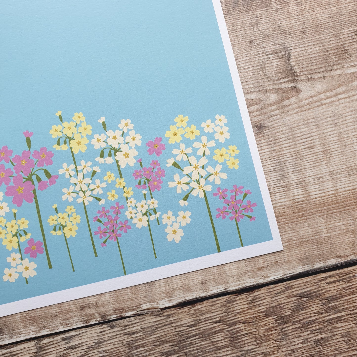 Primroses and Cowslips Art Print