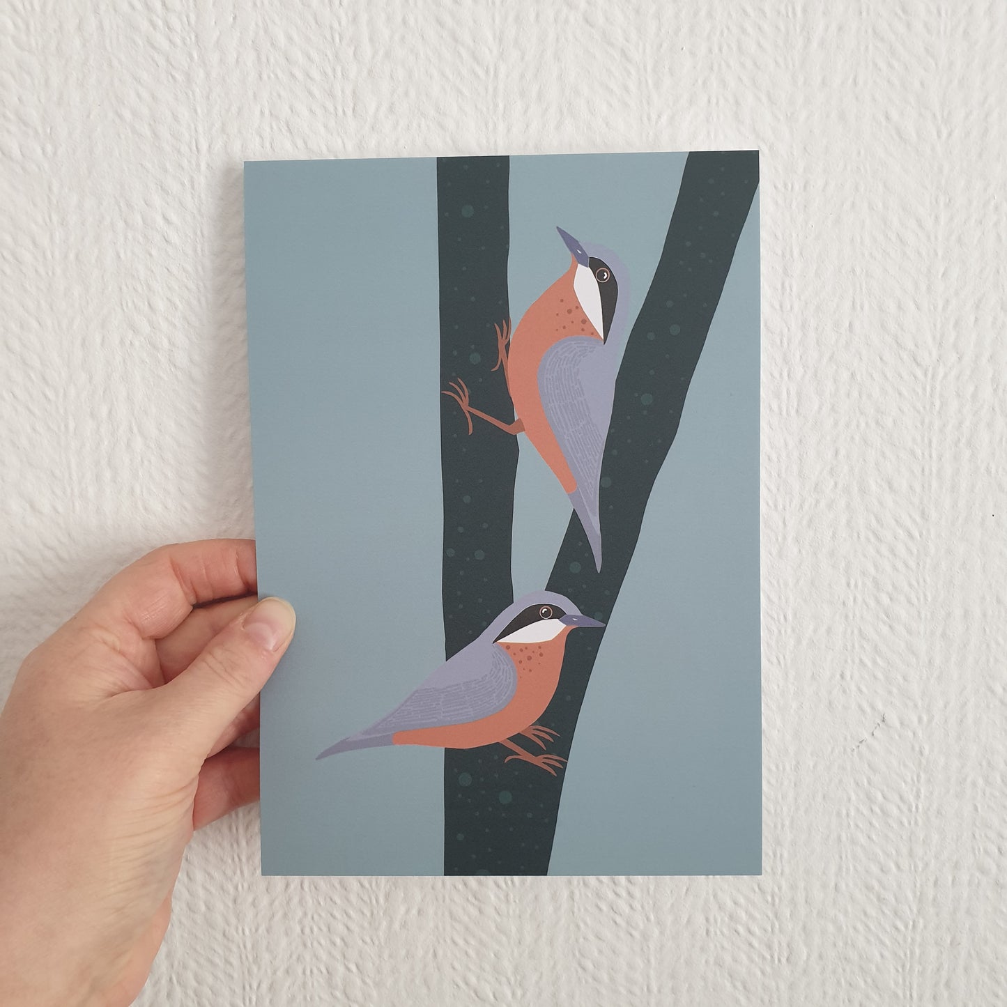 Nuthatches Art Print