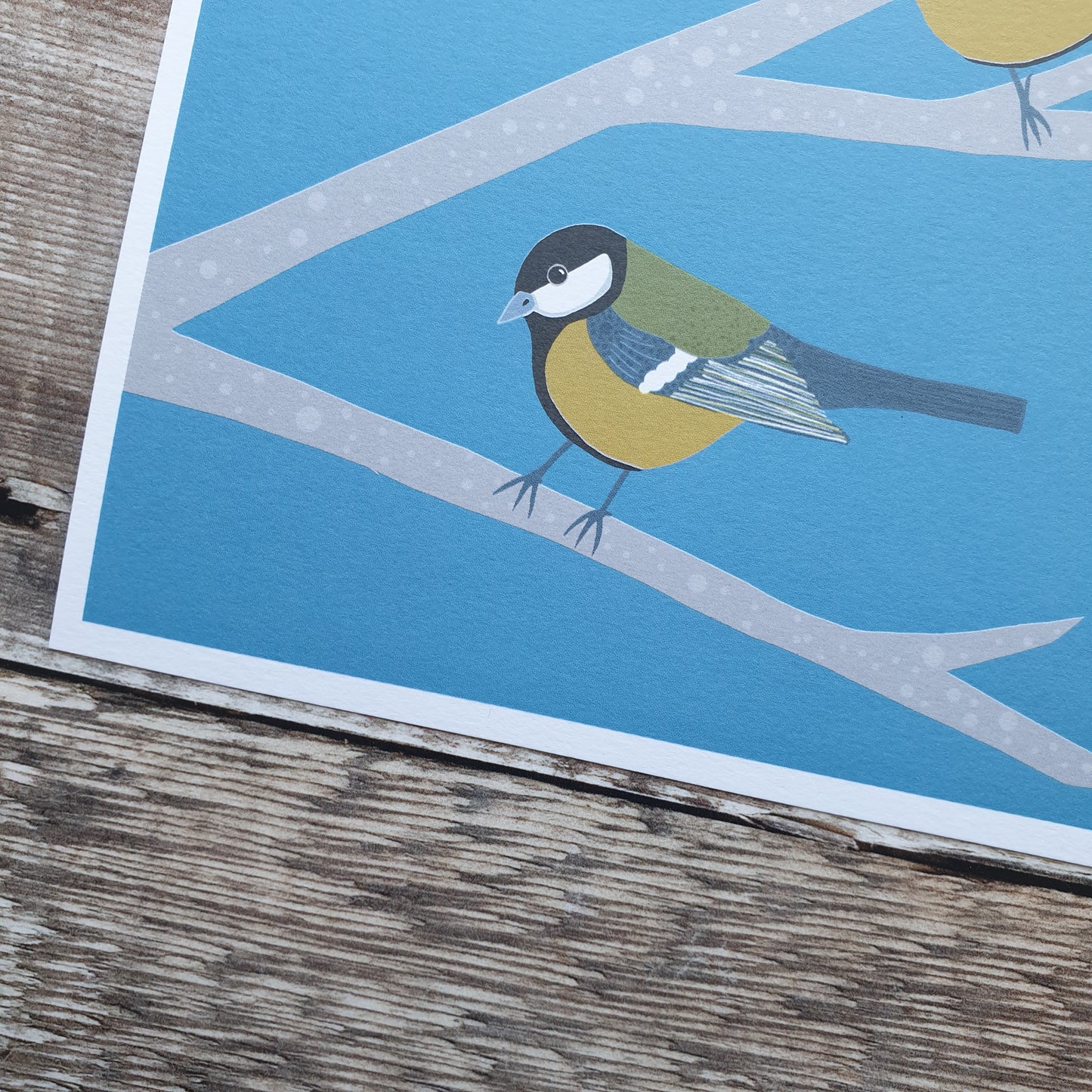 Great Tit Art Print