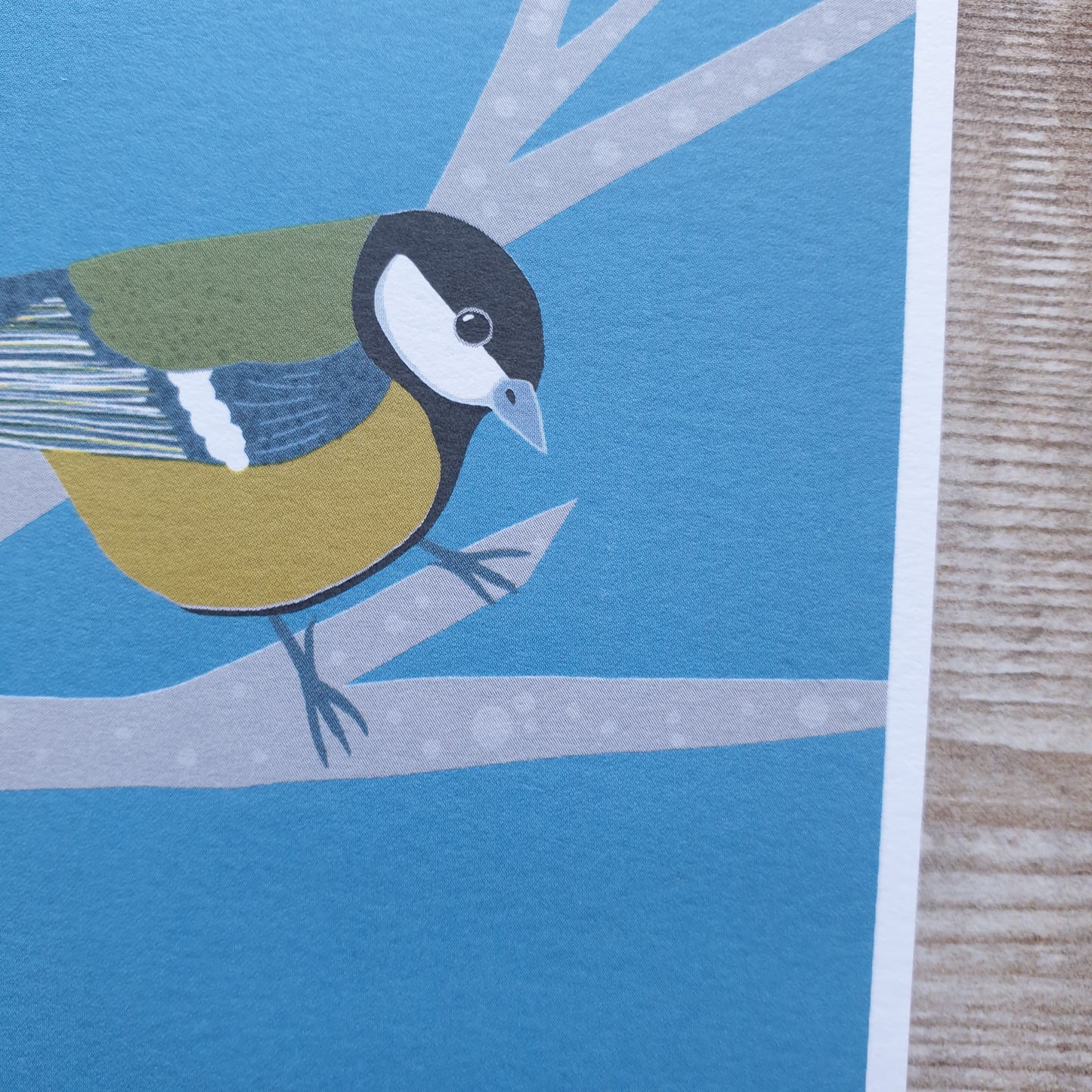 Great Tit Art Print