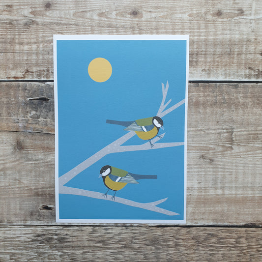 Great Tit Art Print