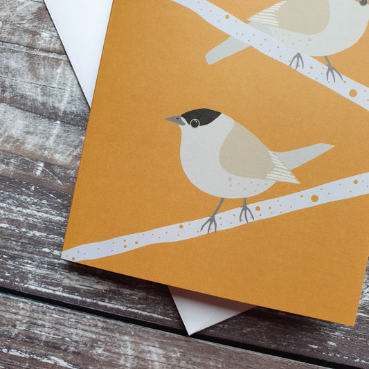 Blackcap Greeting Card