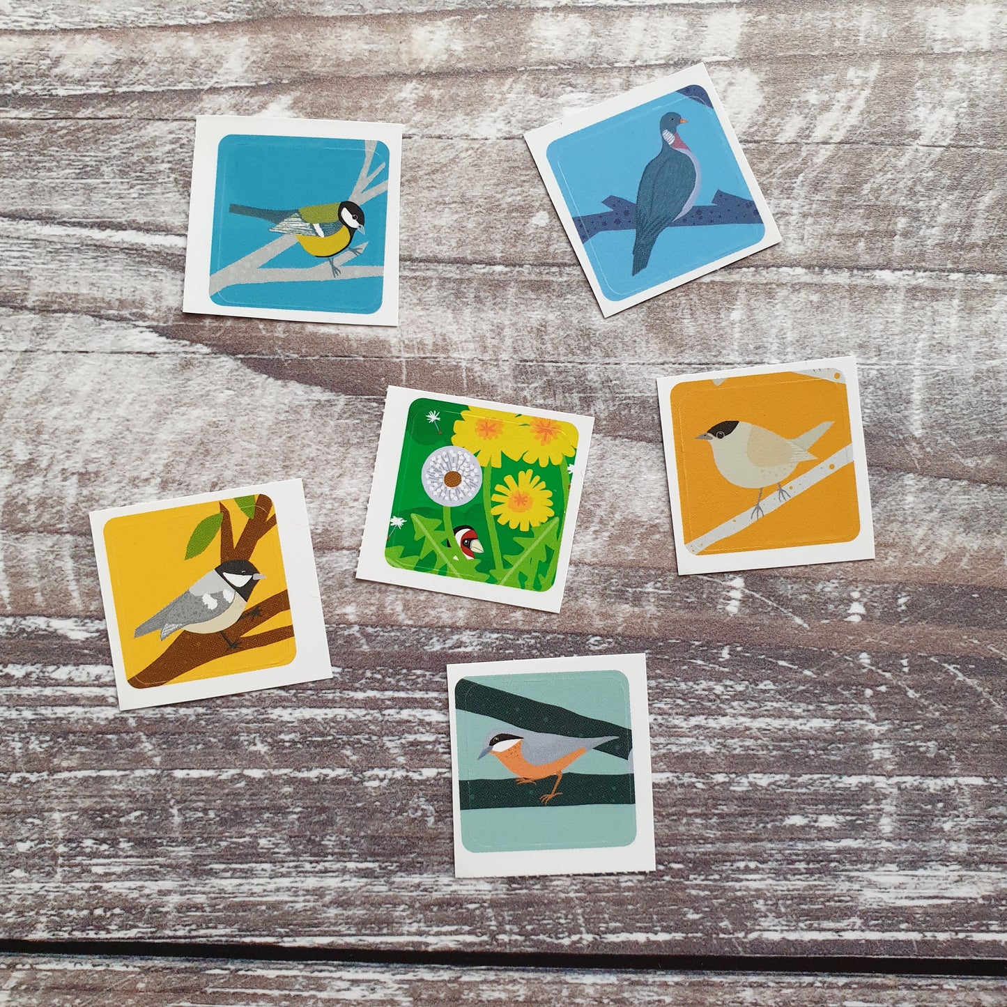 Garden Birds Envelope Sticker Set - 6 stickers