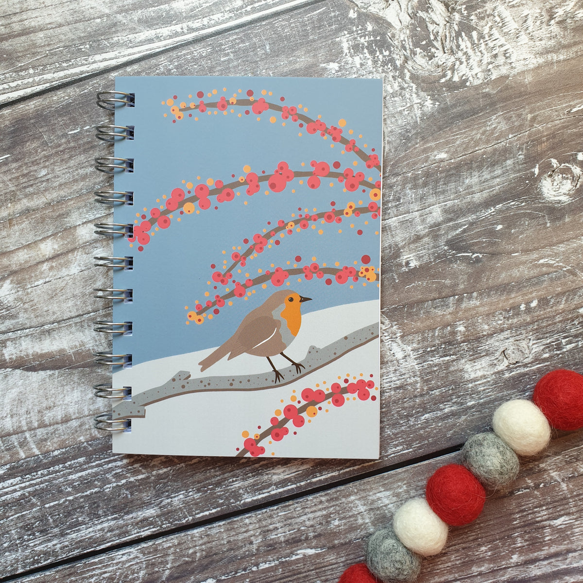 Robin in the Snow Notebooks