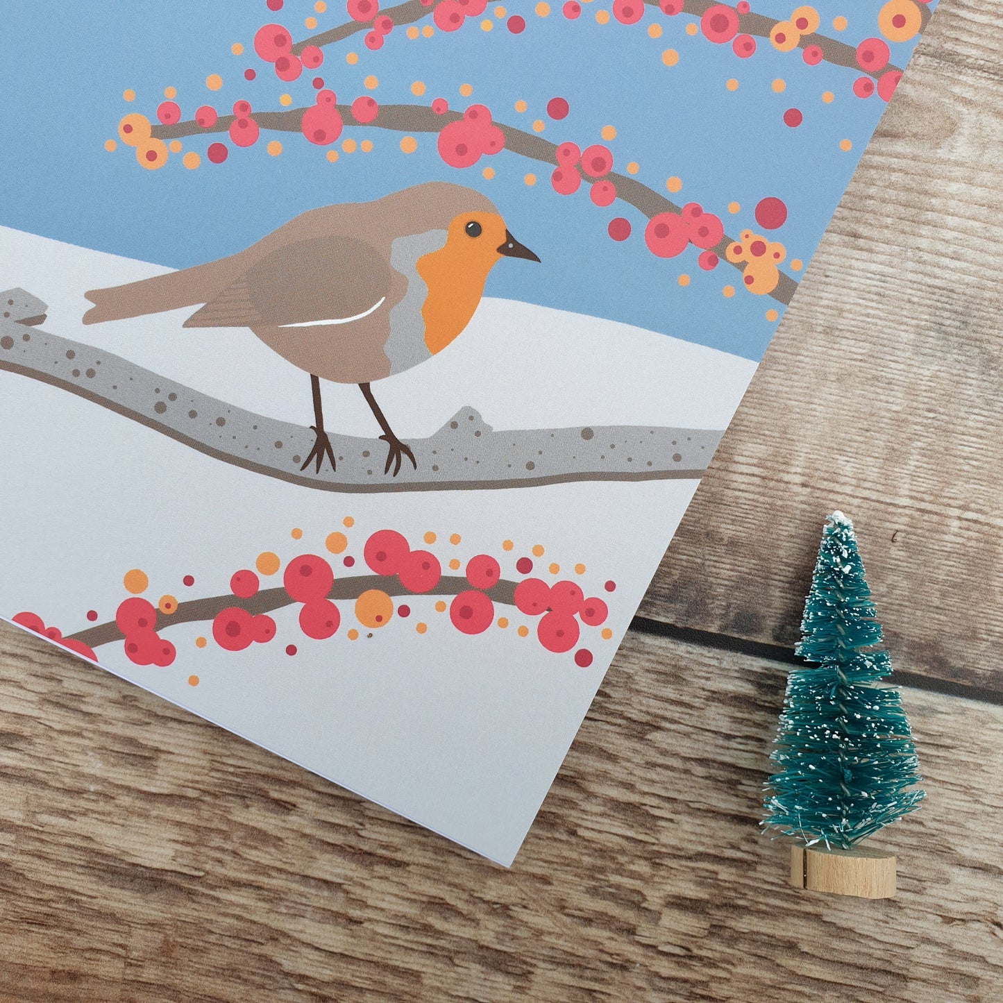 Robin in the Snow Notebooks