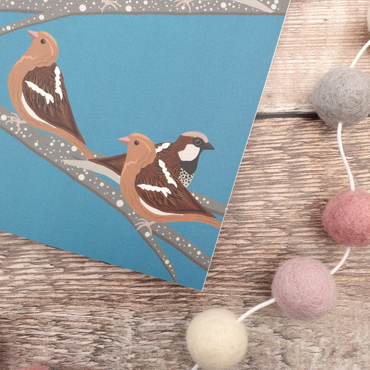 Sparrows - Blue Notebooks