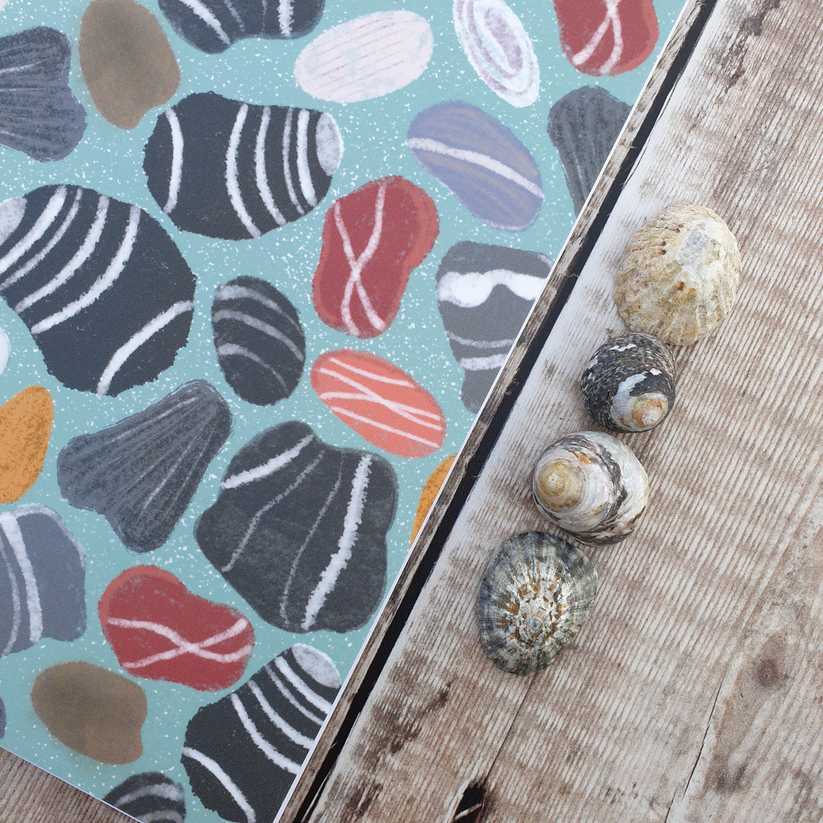 Beach Pebbles Notebooks
