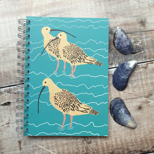 Curlew Family Notebooks
