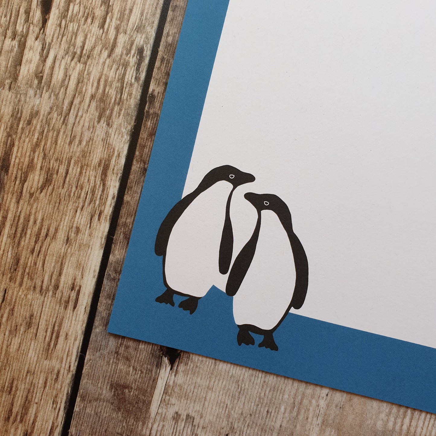 Adelie Penguin Thank You Letter Set - 5 sheets and envelopes