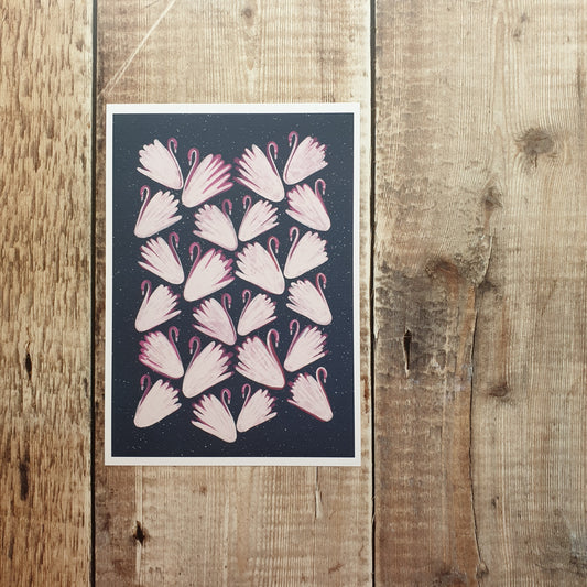 White Swans Art Print