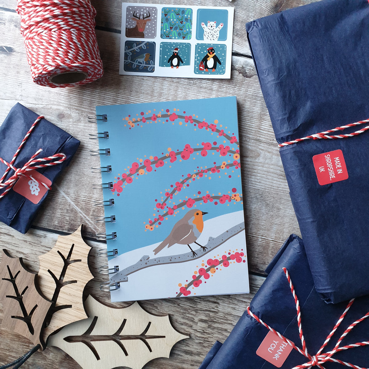 Robin in the Snow Notebooks