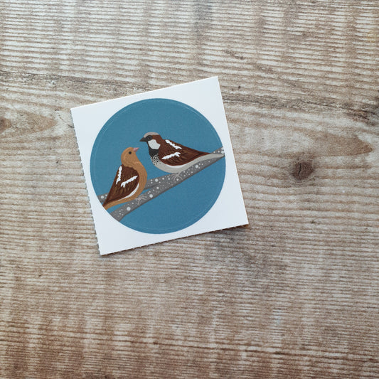 Sparrows - Blue 38mm Vinyl Sticker