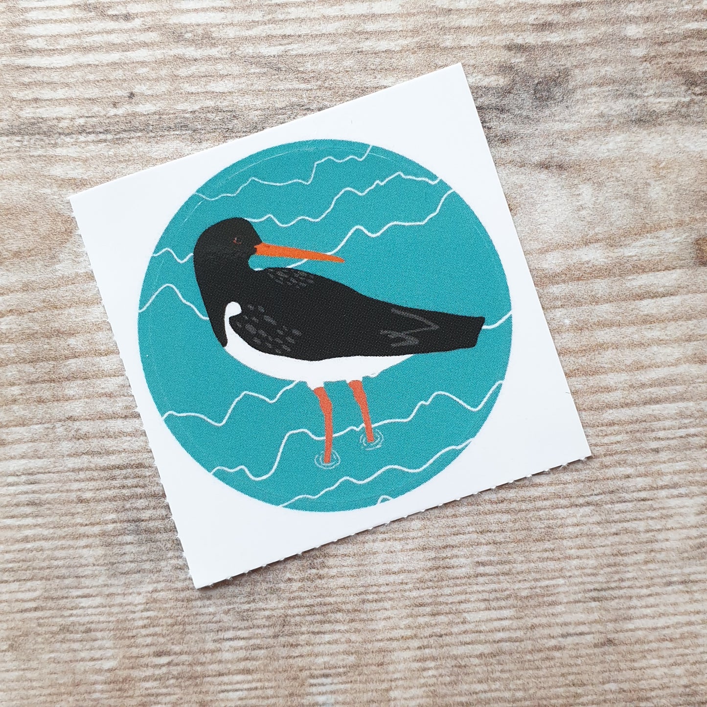 Oystercatcher 38mm Vinyl Sticker