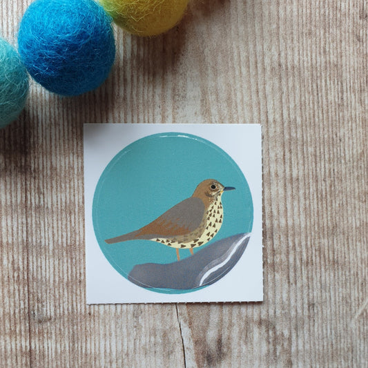 Song Thrush 38mm Vinyl Sticker