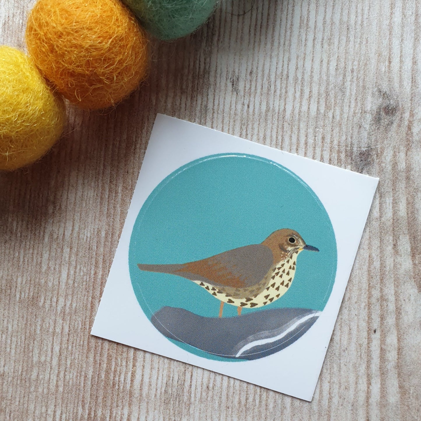 Song Thrush 38mm Vinyl Sticker