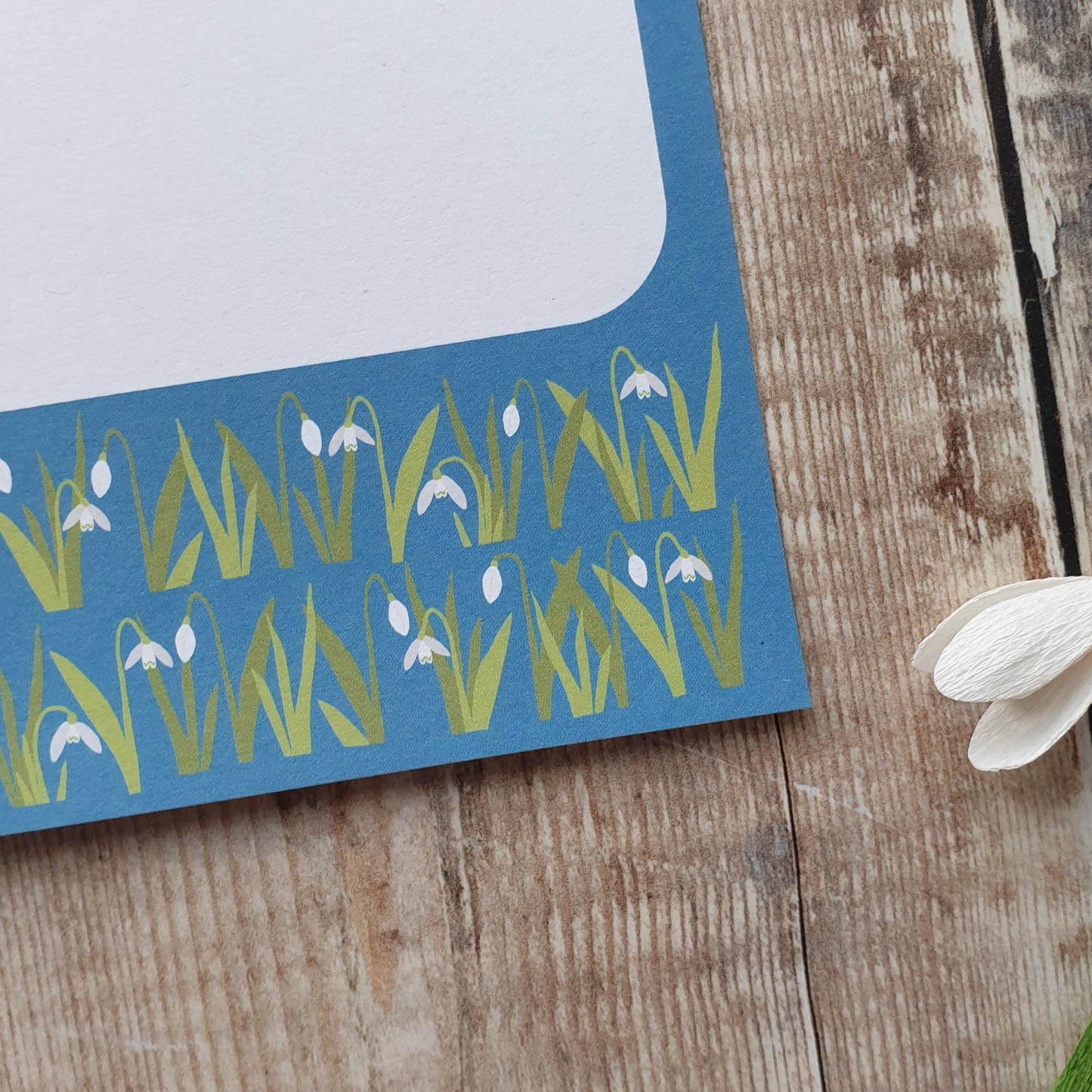 Snowdrops, Primulas and Spring Bulbs Mini Note Writing Set