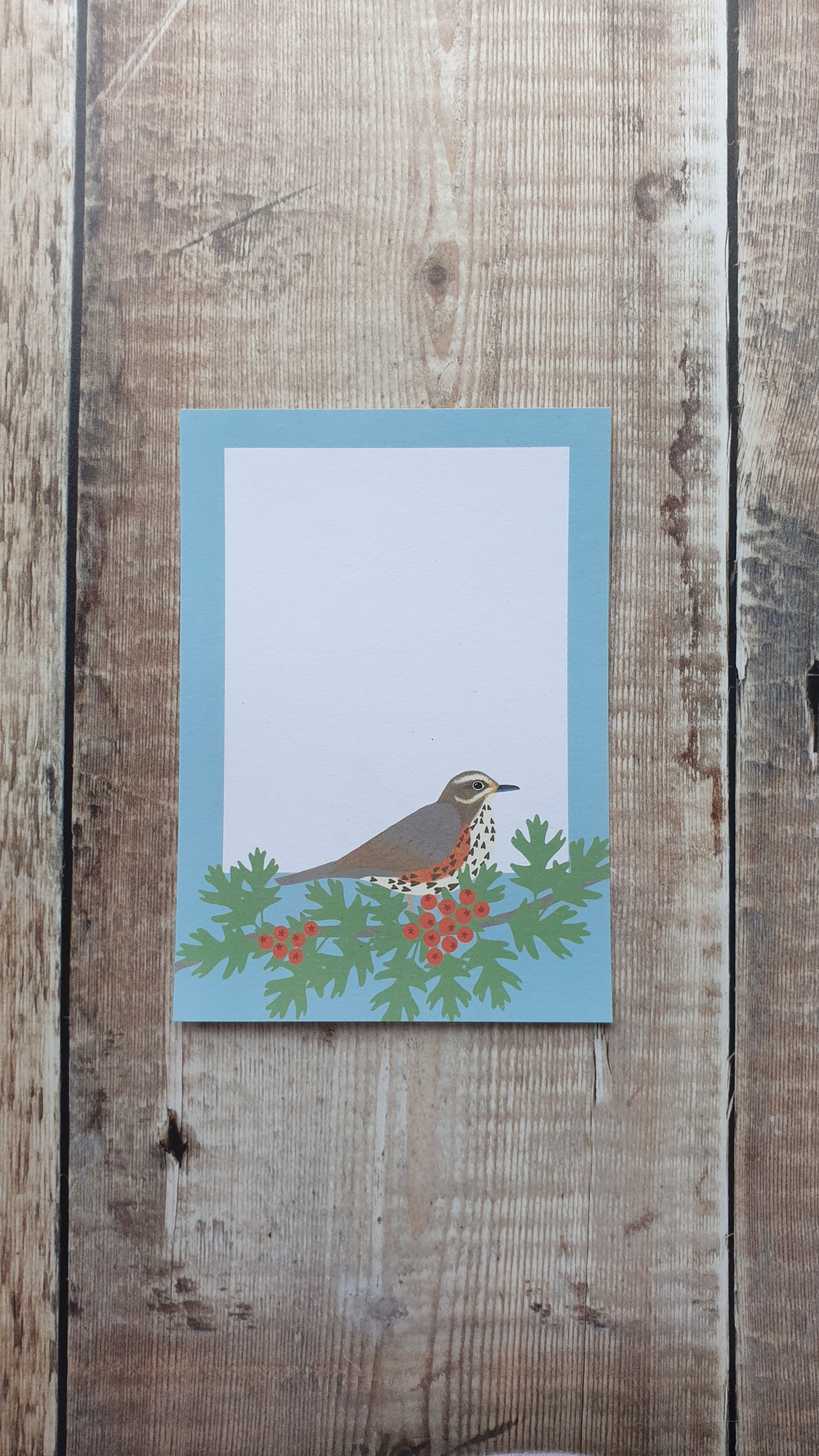 Thrushes Gift Notes - Set of 4