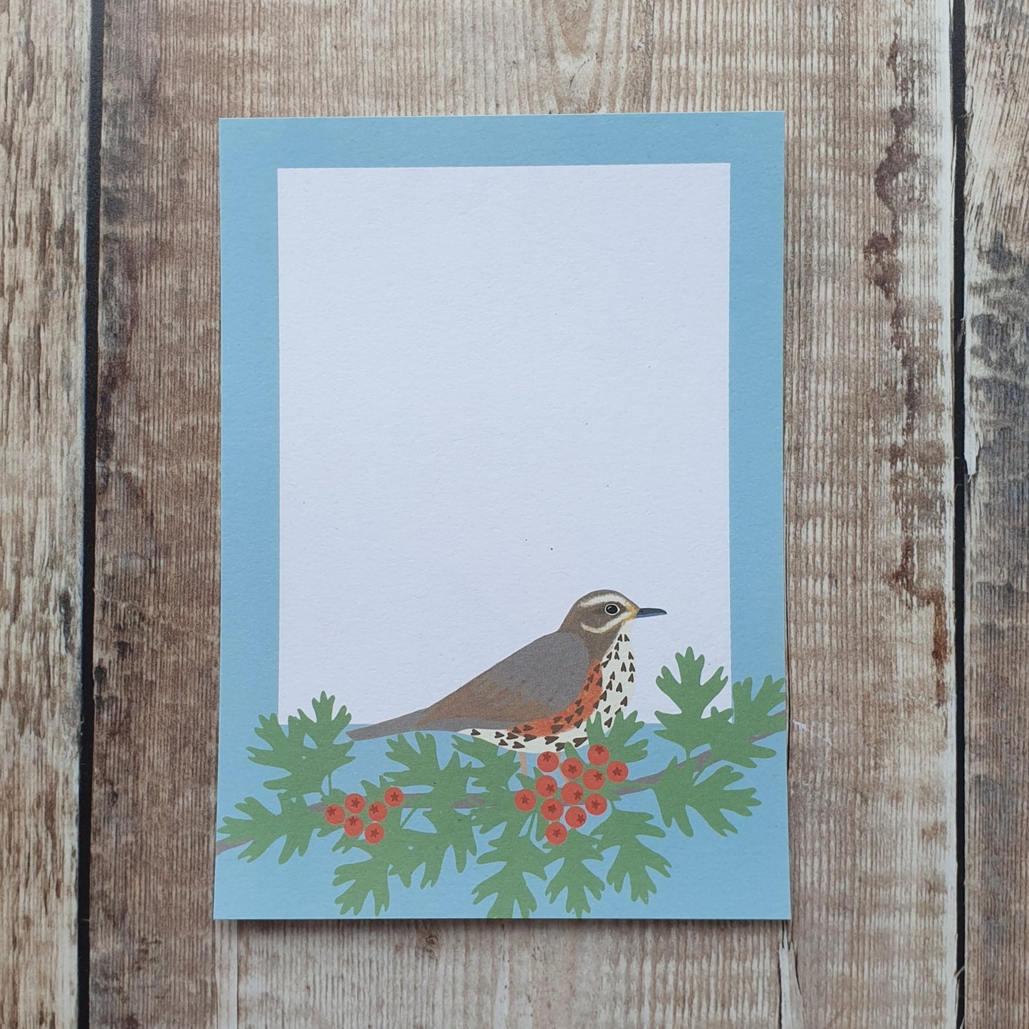 Redwing, Thrush and Fieldfare Mini Note Writing Set