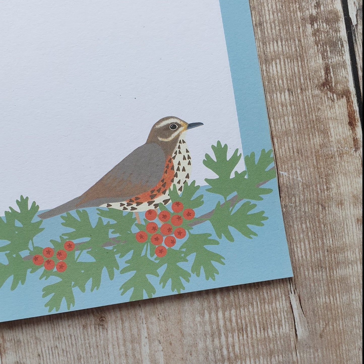 Redwing, Thrush and Fieldfare Mini Note Writing Set