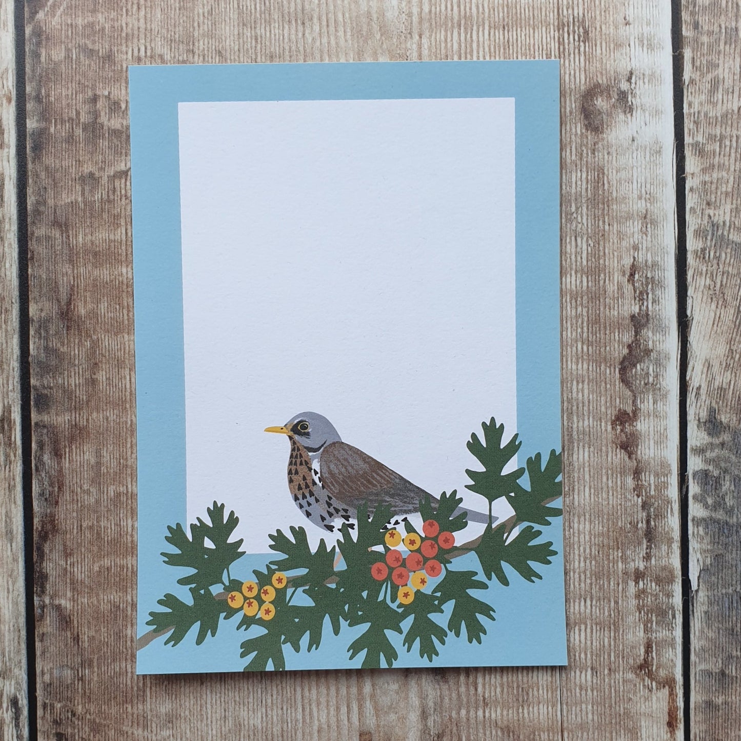 Redwing, Thrush and Fieldfare Mini Note Writing Set